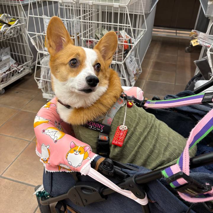 F1cab2d1 486a 46a7 802c e38b6ea1e029 1763980648680