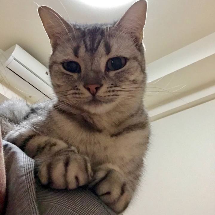 F1cabffa 4aba 45e1 9f74 bf799df84ef2 1539945216232