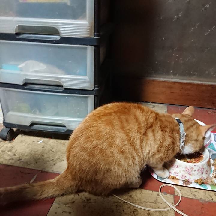 F1cacb04 d0f6 43ed a216 c8b09e896dc3 1592076147167