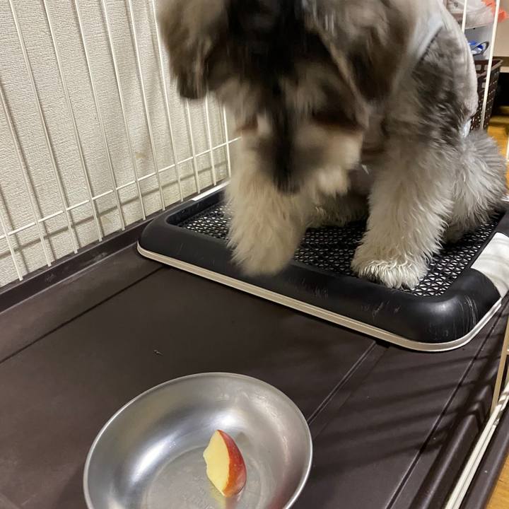 F1cad7d0 b6fb 4380 a936 91b1bf75c25d 1577283871693