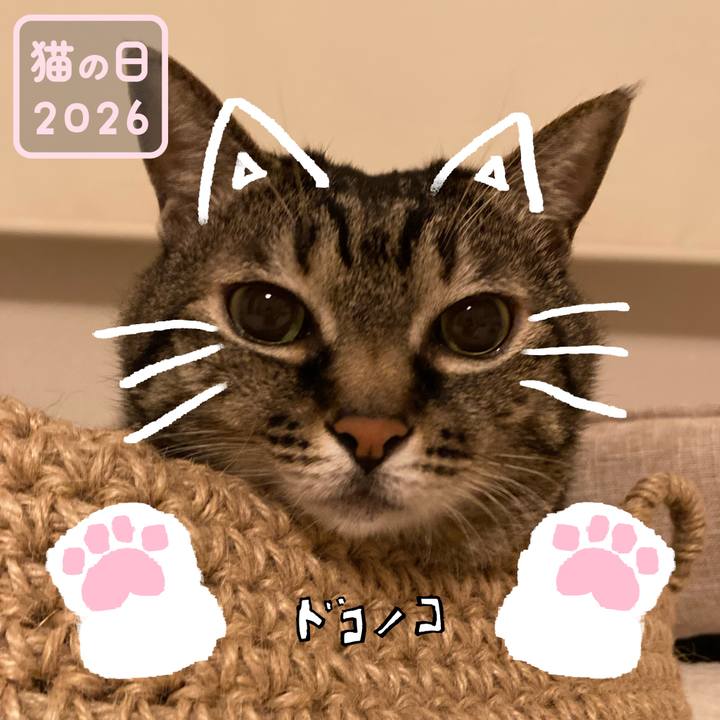 F1cae617 fcfa 4397 980d c0e19a6a1a29 1771730750848