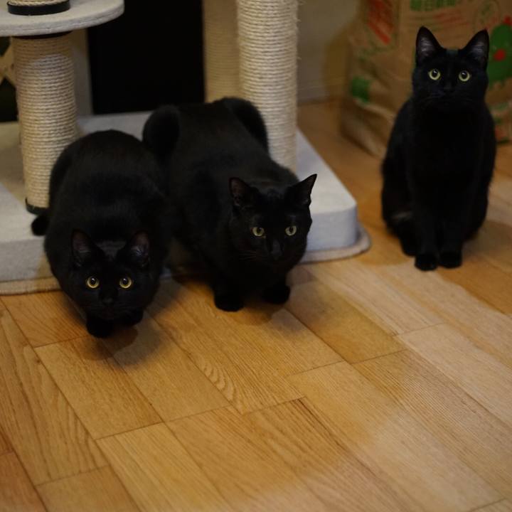 F1cae85c 5c36 44fb b9df 59c8a0cf10ca 1525822177882