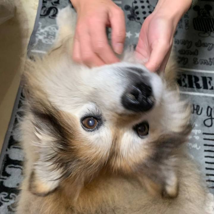 F1cafac0 f58a 490a ac88 a66bd6c54767 1594731070810