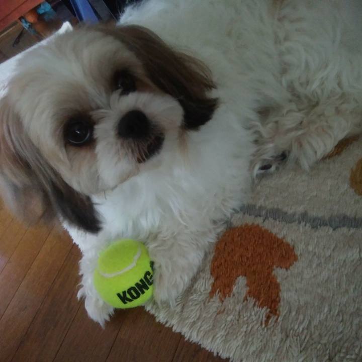 F1cb56c3 cbb3 4b46 b5a3 e5cb07d9d553 1527738154513