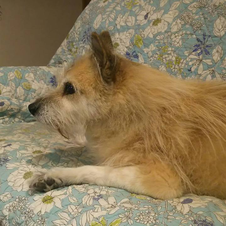 F1cb8d91 8afa 4ff0 a1a5 d6937d73b2b1 1541075536991