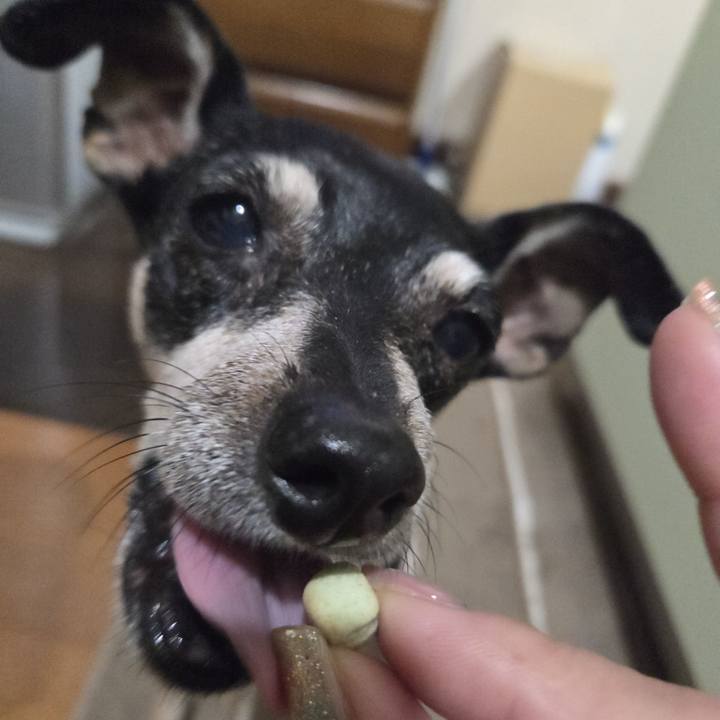 F1cb91d8 2710 499a 9f02 e2b76b514d71 1758483648882