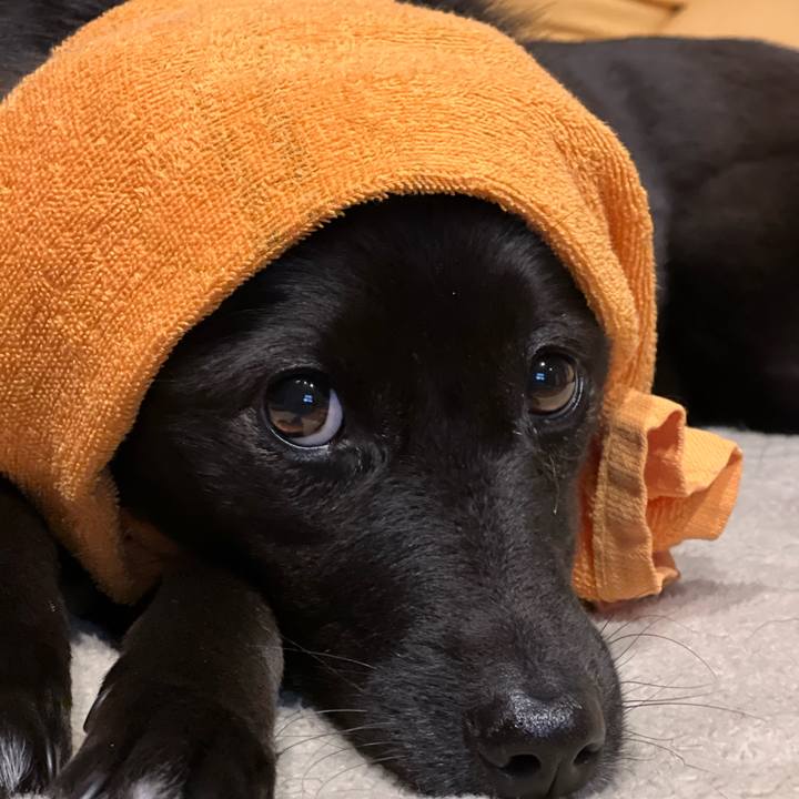 F1cb9fb8 1cc2 4cce b446 190cc52adf14 1647651707662