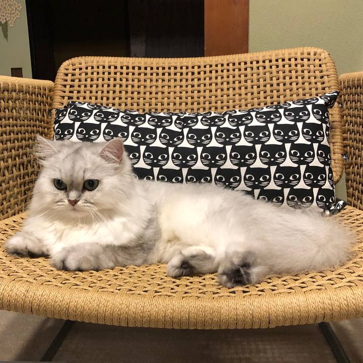 F1cba3a7 d3f7 4ae2 b855 c6aa93d34203 1567245362888