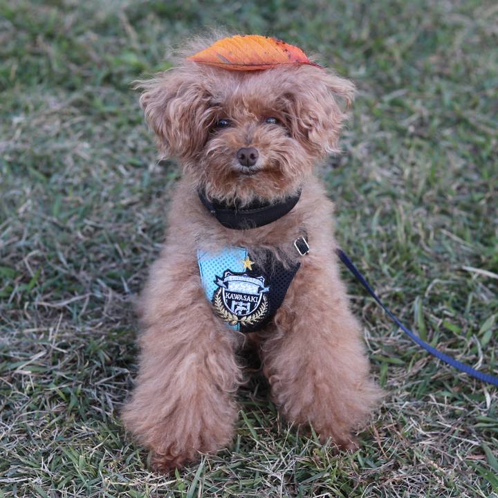 F1cbcb8c 98d8 4d13 ac27 82f44303acfb 1542445377695