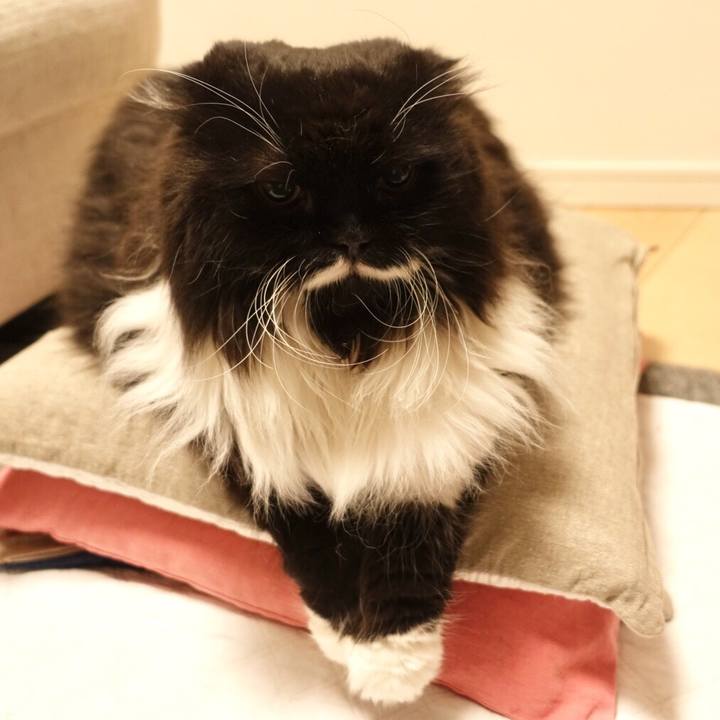 F1cbccbe 0882 4b91 9346 29a6a7538eaa 1521721598978