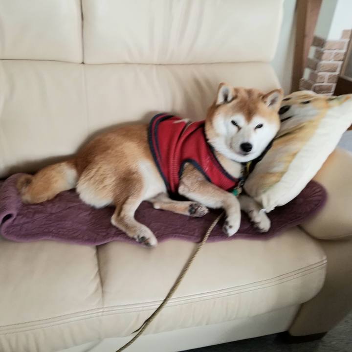 F1cbda77 180c 479a 9081 e37a94f71668 1608087136612