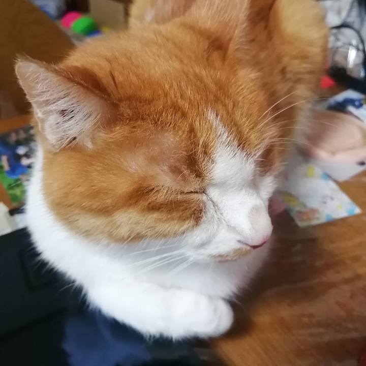 F1cbf294 7e4b 4b93 8640 1a542816ce6b 1631106540314