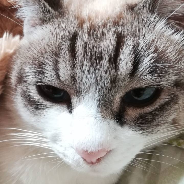 F1cc0241 f8a3 4dce 929d 418e94f33918 1577717461323