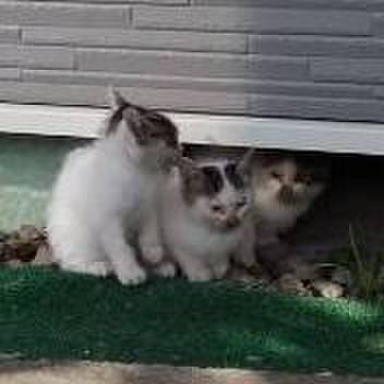 F1cc026d a9df 4c03 b738 124375df4ce6 1630814774511