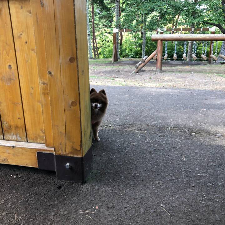 F1cc10df 27cf 4b86 acf1 8b09284dd8a9 1569669683325