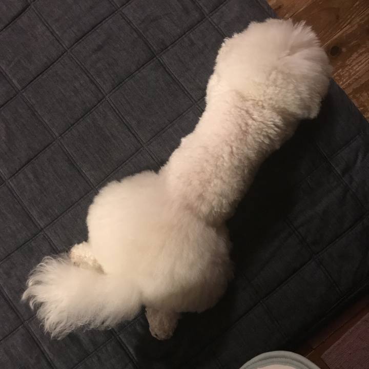 F1cc33a9 94a2 41a0 85fe d778bdda5f8f 1534500416448