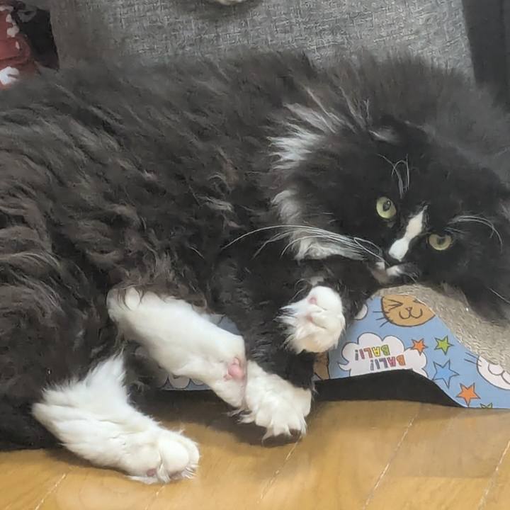 F1cc9426 53e2 4792 9555 db625ae647b0 1758975364057