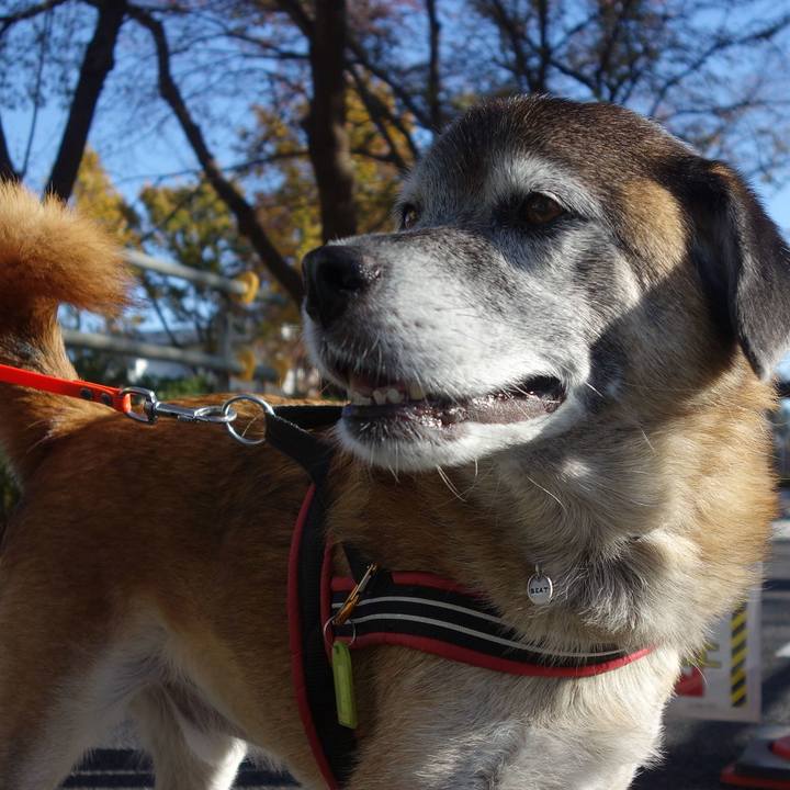 F1cccb9c 0b9c 41b0 8635 47b48ea0b421 1573865201965