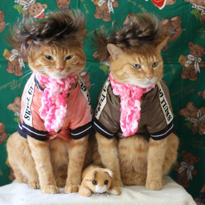 F1ccd546 7554 4157 8740 6cbc0efced9c 1513853797663