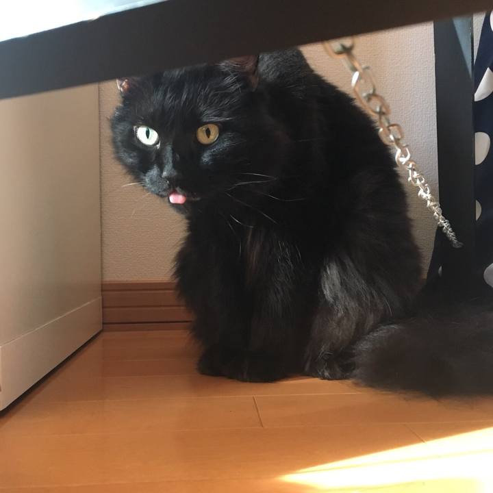 F1ccdce2 fc14 4df5 b5f0 bb665cd07942 1564492379744