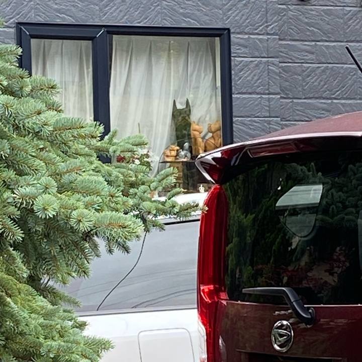 F1cce866 6aa7 4c79 9f85 0eb06ede5514 1659480831832