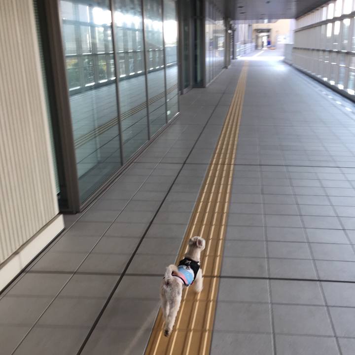 F1cd1805 5f5d 40b6 bc03 22c36cad8207 1540626863544