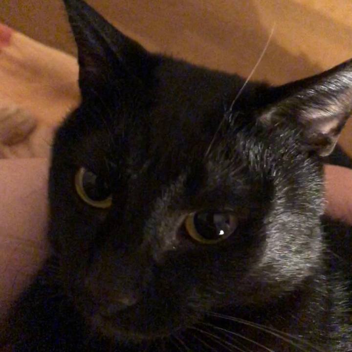 F1cd3765 70e6 4ff8 9d28 dd7dd5d0454c 1668328959887