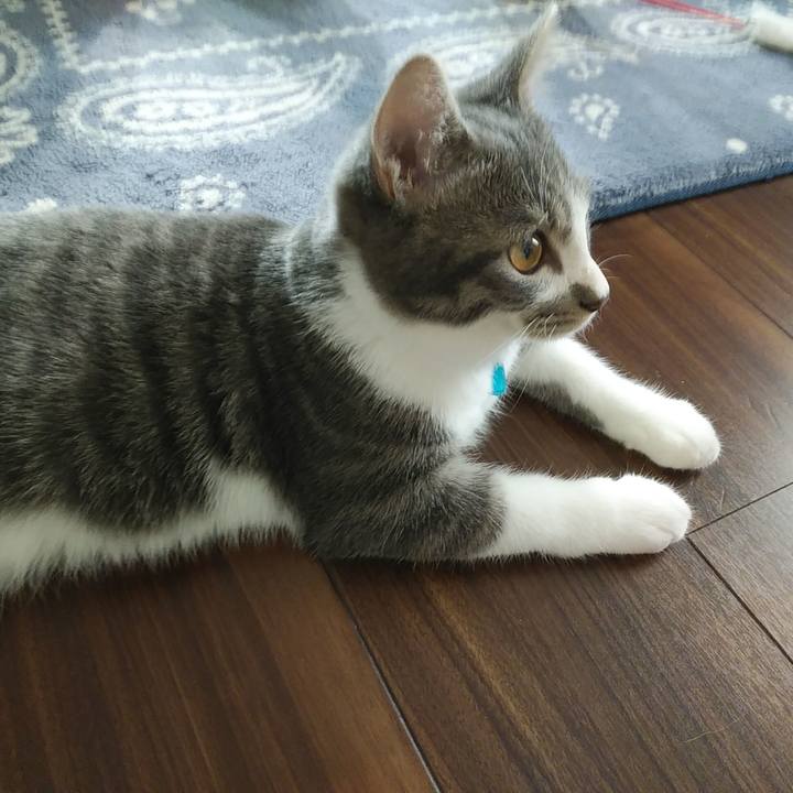 F1cd3c2d 7073 40de 80ac ace7aeb36f35 1568763489376