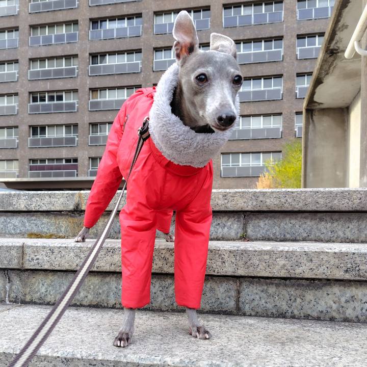 F1cdd8fb 559e 4030 816a 0aba2be915f7 1769336257676