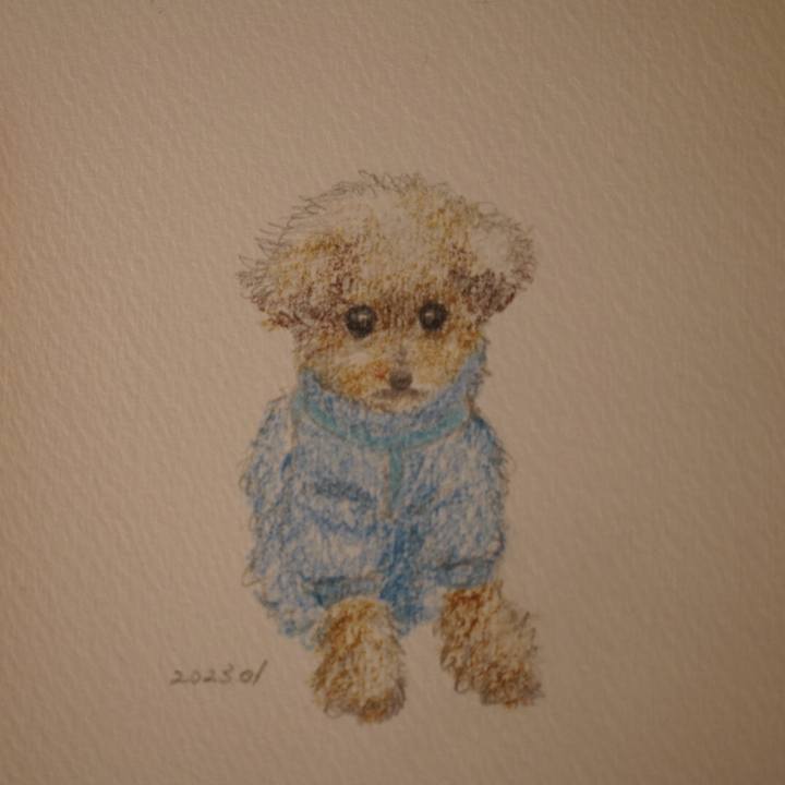 F1ce0355 2351 4fb1 bf5b 696655d80c5d 1673562210591