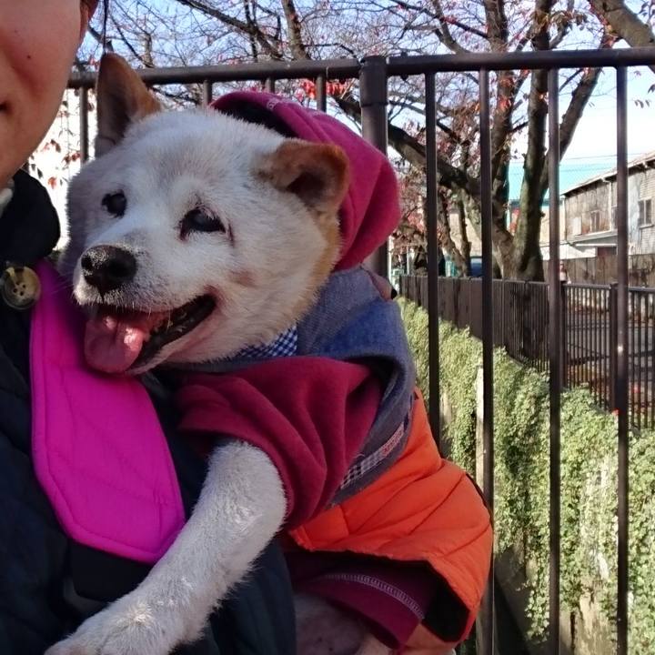 F1ce0e61 e9bc 43a6 aa2f 0de2d2bd2001 1512042728237