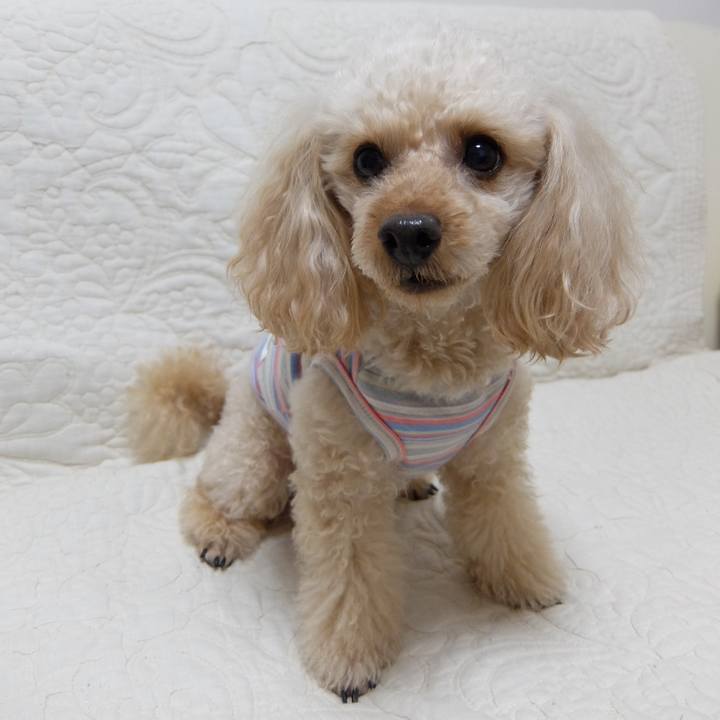 F1ce19f6 0872 4c12 b5c7 0ef3a97b545f 1640906202803