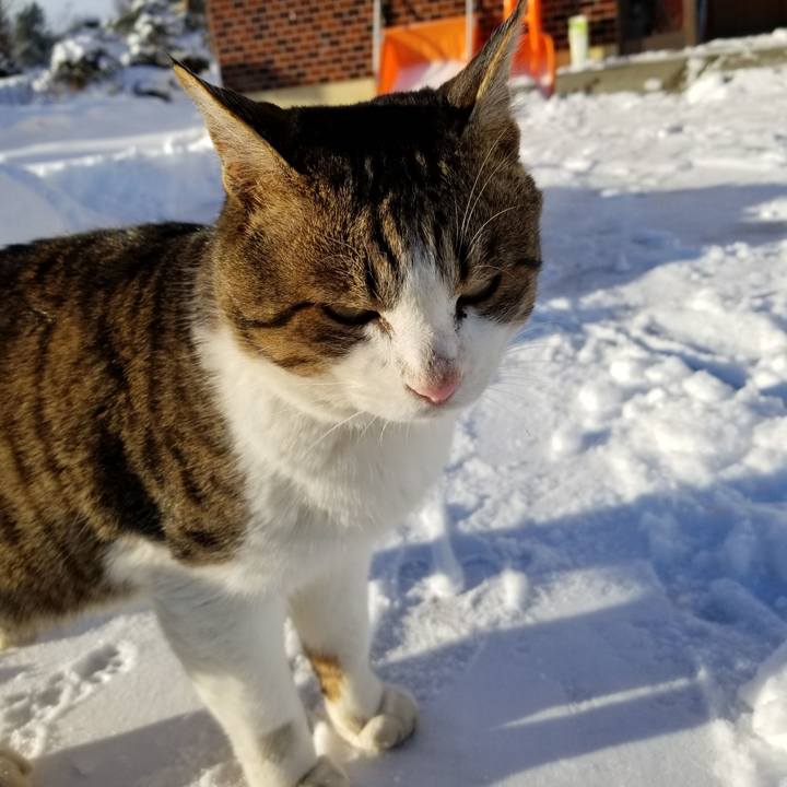 F1cec976 09c9 418f bd6b d712e50ef816 1608943772521