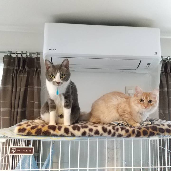 F1cee6f6 40b3 4896 9d16 d113710f8bc8 1618633847751