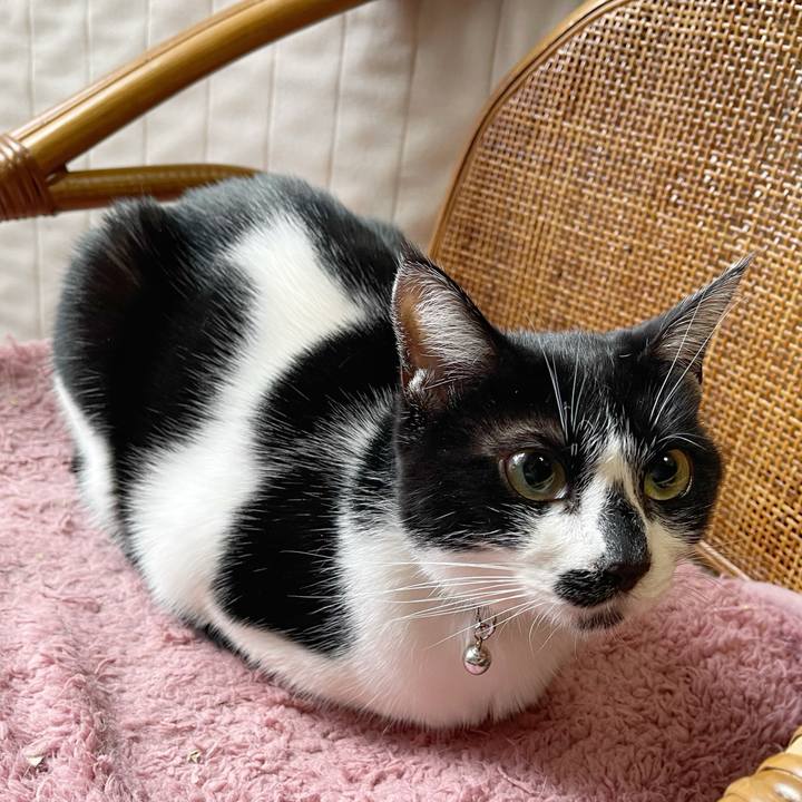 F1ceeca3 eccc 4a98 9bdf eb4a066442b0 1771368403756