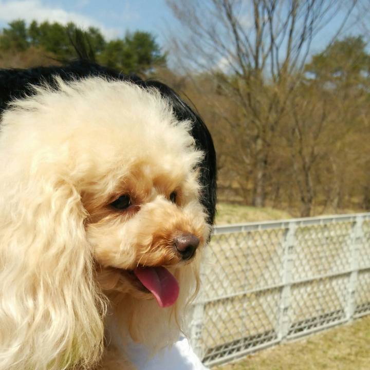 F1cefd24 7900 4663 834e 778126051de2 1556546792043