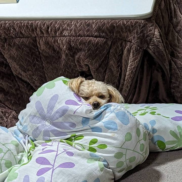 F1cf06ed ba66 4417 b7e6 65a7d1ce9c57 1699787973464