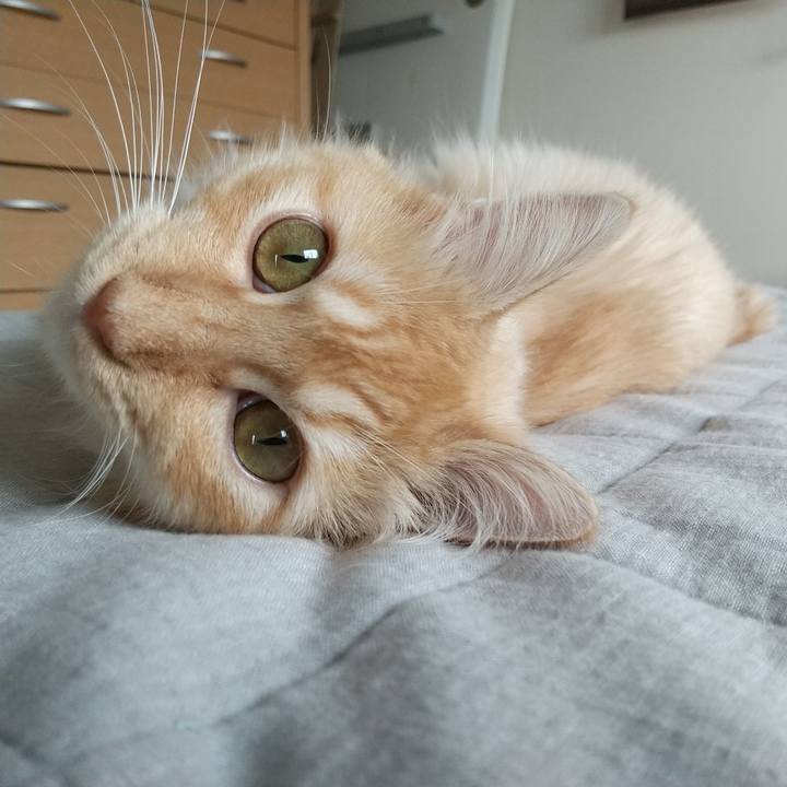 F1cf1c65 d1ca 4c88 b6e3 379ec1301609 1625641882660