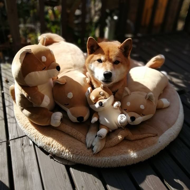 F1cf1e22 77ad 422b a072 263c97ba1c2e 1582247318191