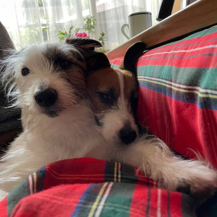 F1cf2475 2f46 434d bc67 ec9386424251 1643331105528