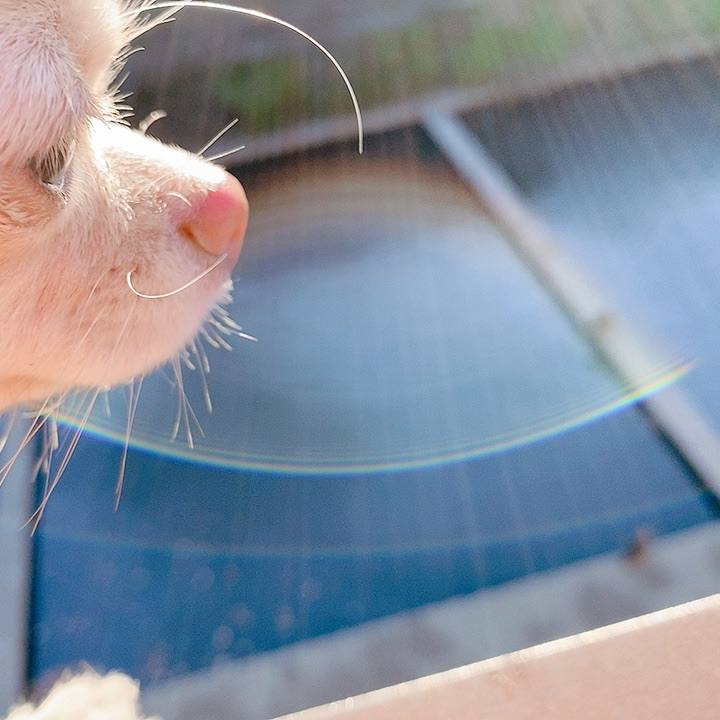 F1cf61cf dd27 442f a47c 2ffe092ac9cb 1608189638992