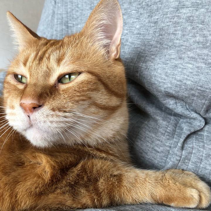 F1cf7438 e01d 45ea 9087 41daa5be0464 1624063083789