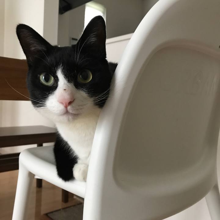 F1cfa783 6cb8 4985 a2e1 f532714cf07f 1528190376741