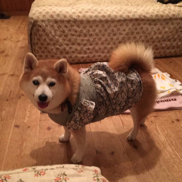 F1cfb244 1824 48cf bcde 41d35ca10cab 1566476466242