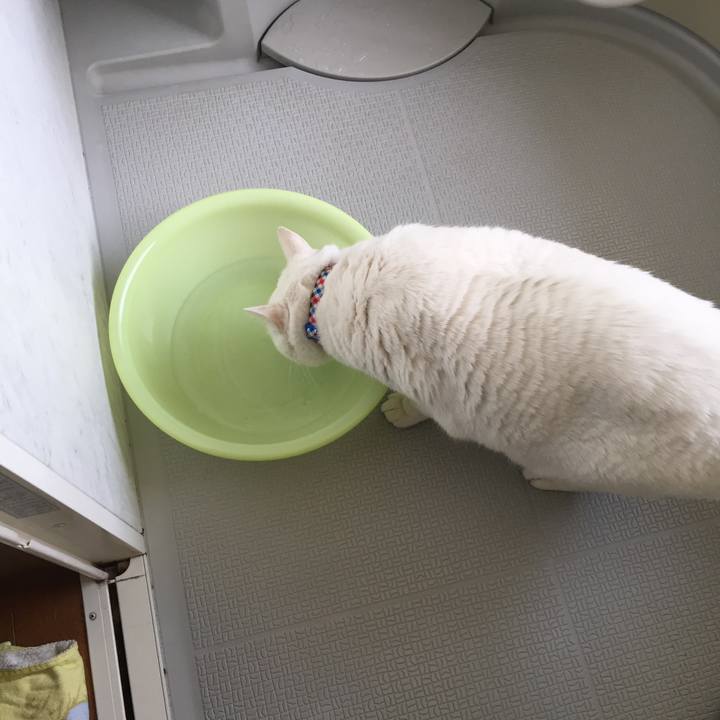 F1cfd8a4 9021 4d65 8d11 4926eec1a159 1578787617737