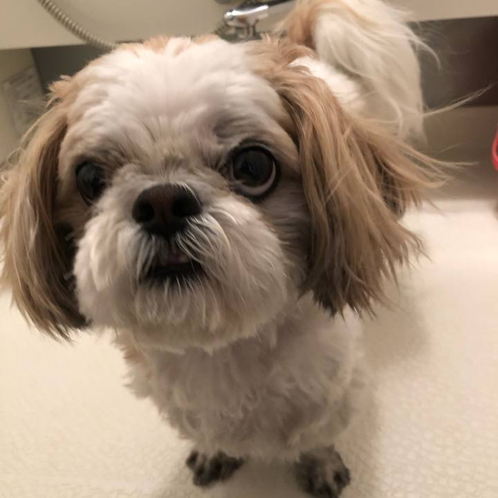 F1d028f8 4267 4c4d aa6a 72b70c6b5ec0 1553895925011