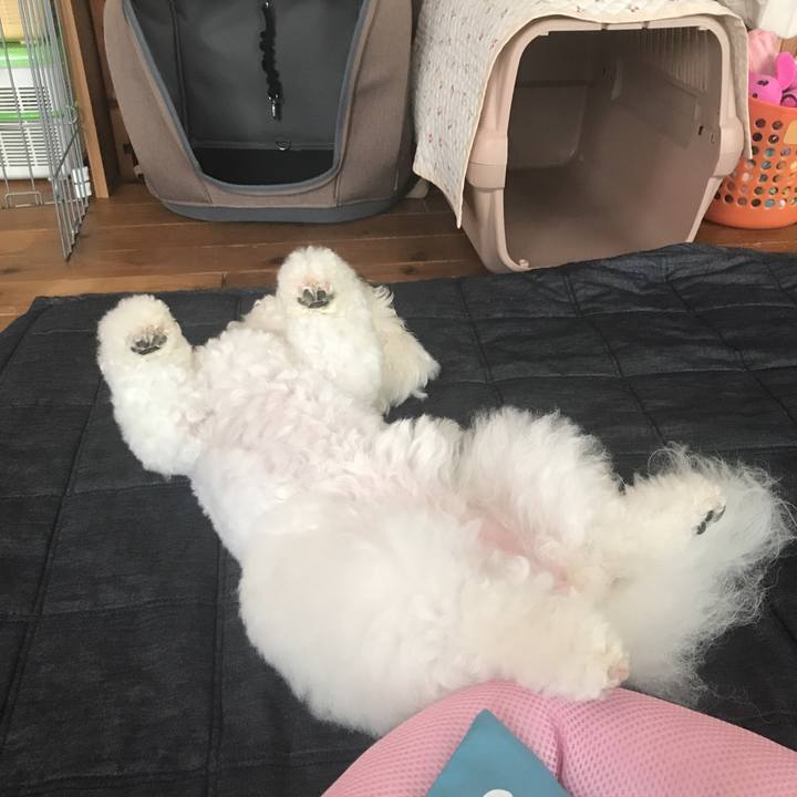 F1d02e8a 8479 4b3c 8d44 066ec8465a16 1529025939254