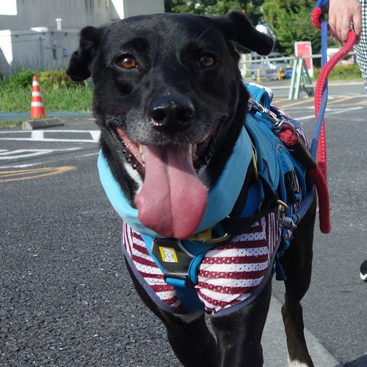 F1d0311f 77af 4491 be87 3d0f2777b7ce 1628210061213