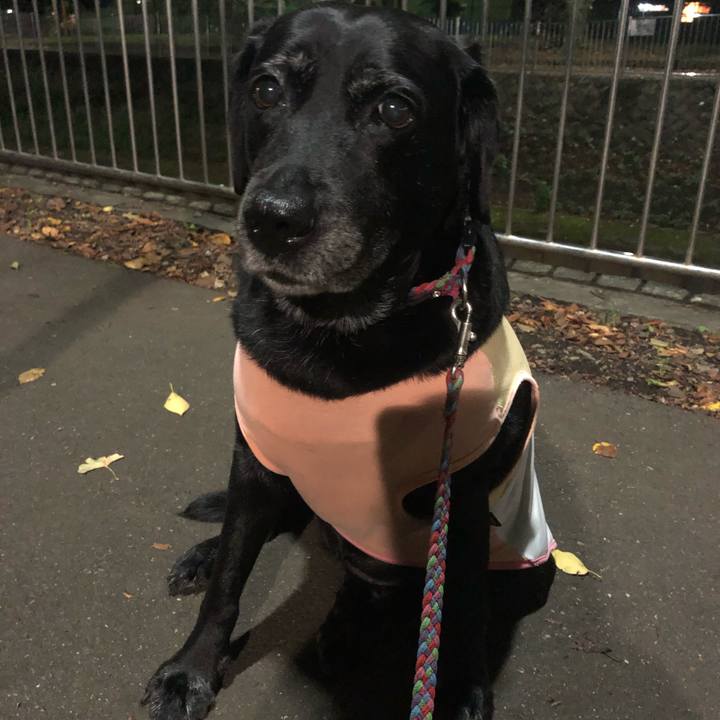 F1d04b58 52d4 46b3 965a e4df899e3caa 1569336470332