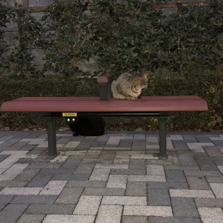 F1d05097 71bf 4d92 9533 41a0e7341769 1545405859268